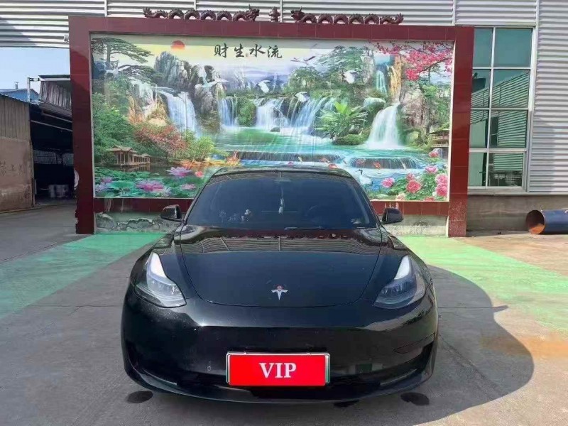 临沂22年特斯拉MODEL 31