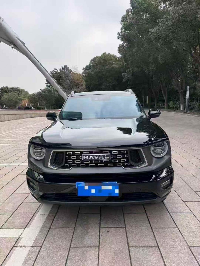 常州25年哈弗大狗1