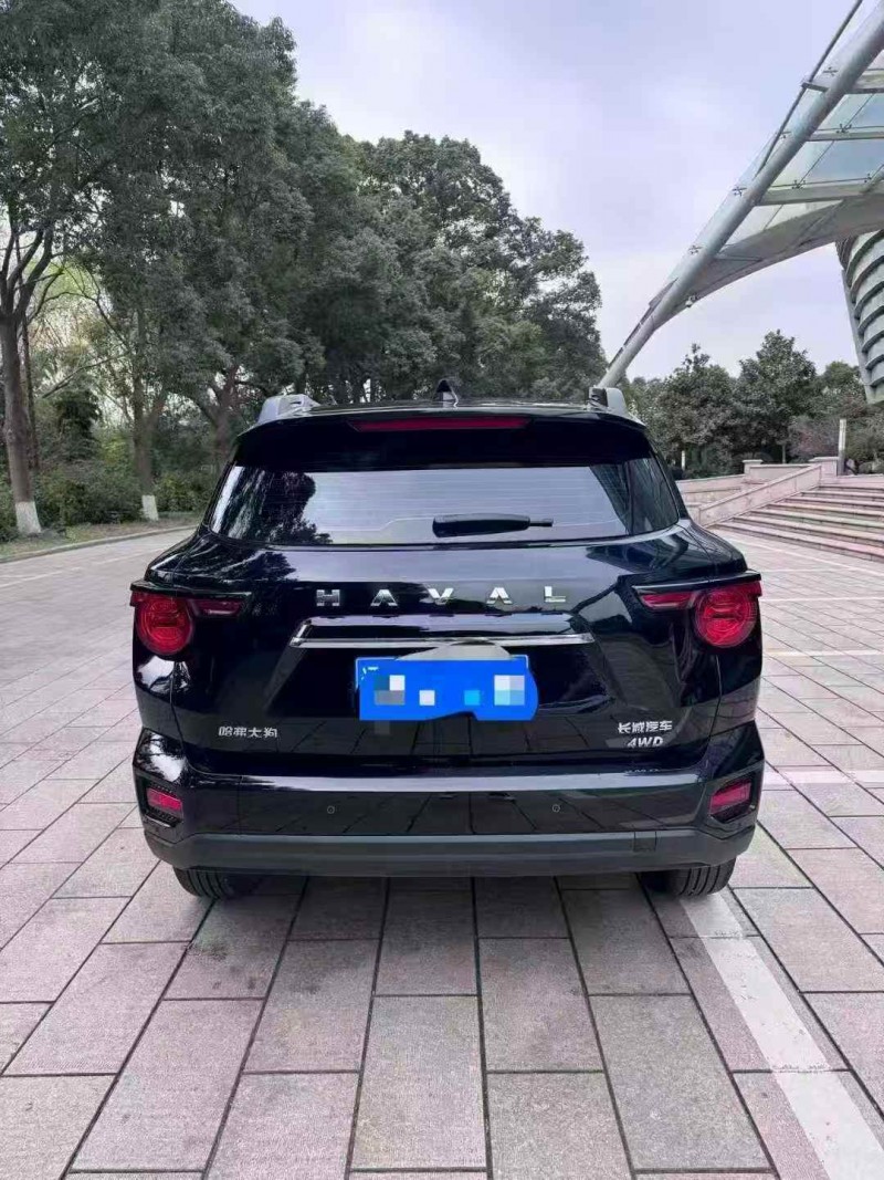 常州25年哈弗大狗9