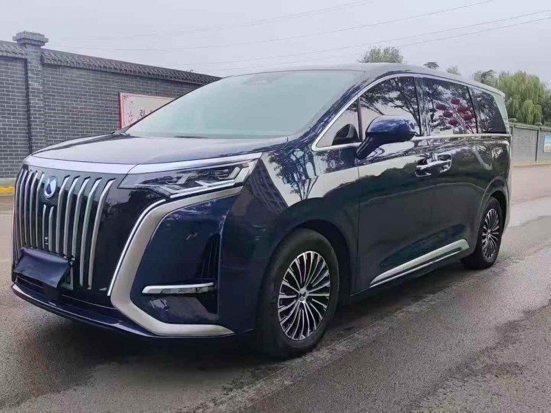 东营24年腾势D92