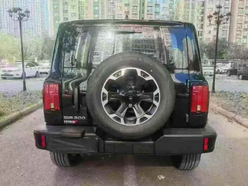 洛阳25年长城汽车坦克9