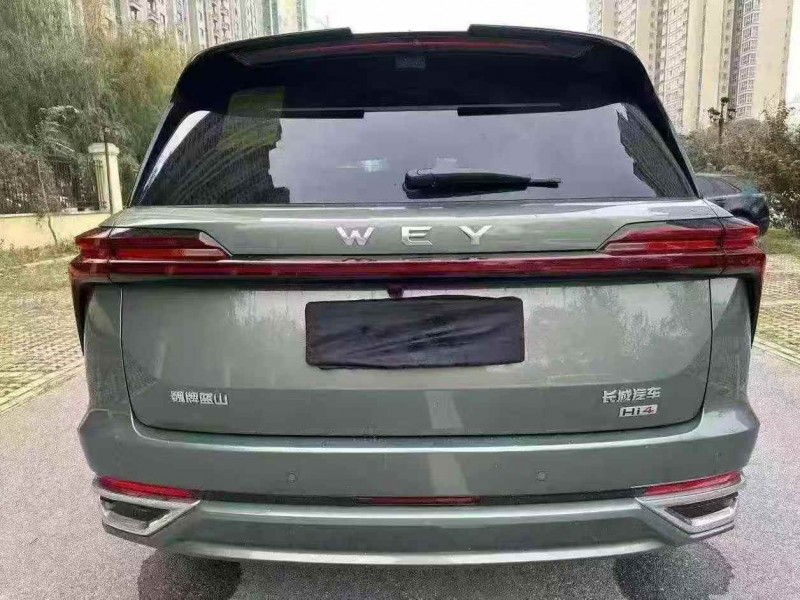 洛阳25年长城汽车魏牌9