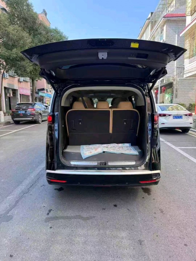 长沙25年腾势D96