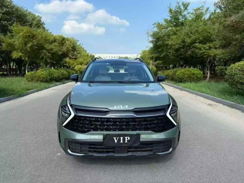 常州22年起亚狮铂1