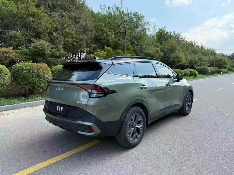 常州22年起亚狮铂7