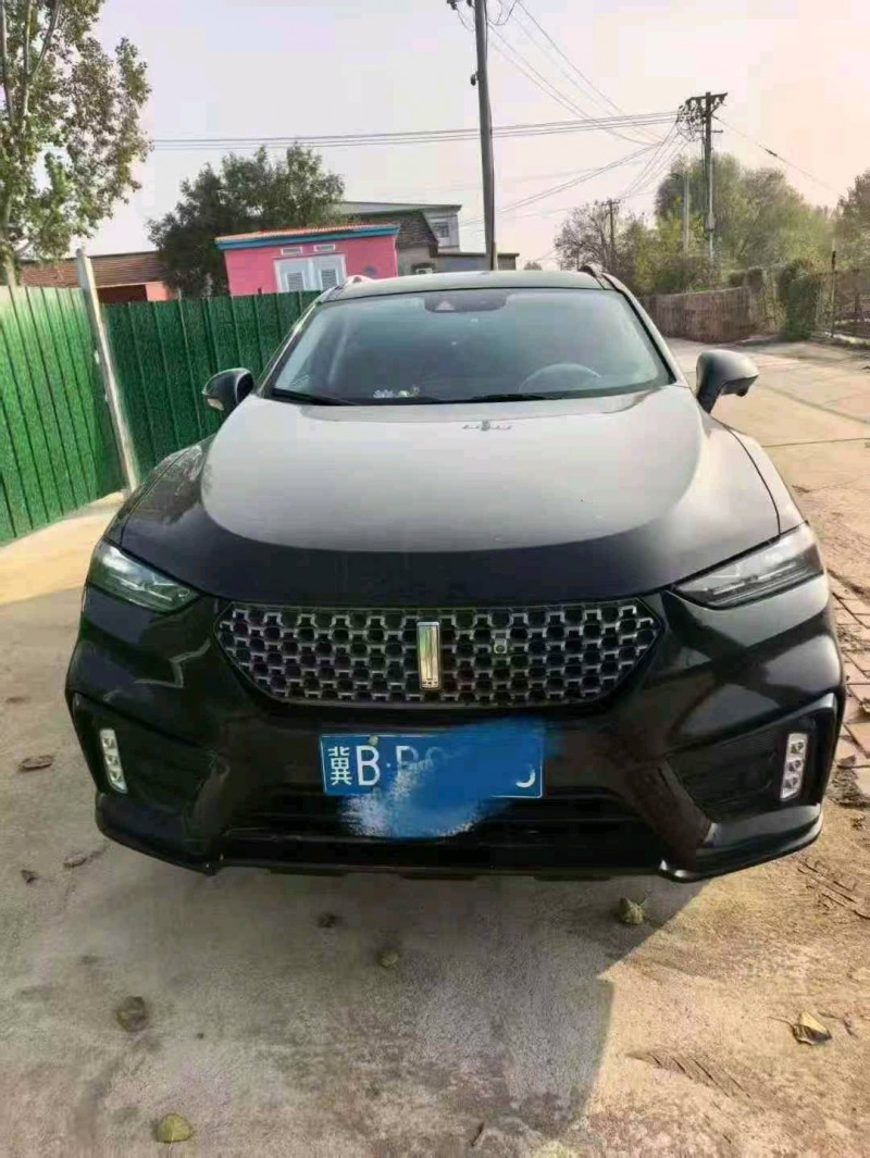 天津20年长城汽车魏牌1