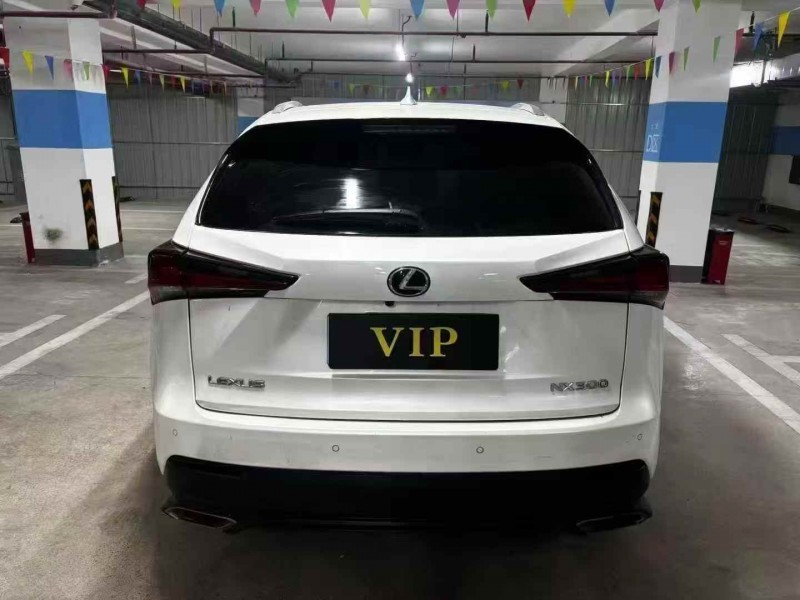 苏州18年雷克萨斯NX9