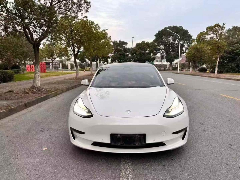 徐州19年特斯拉MODEL 31