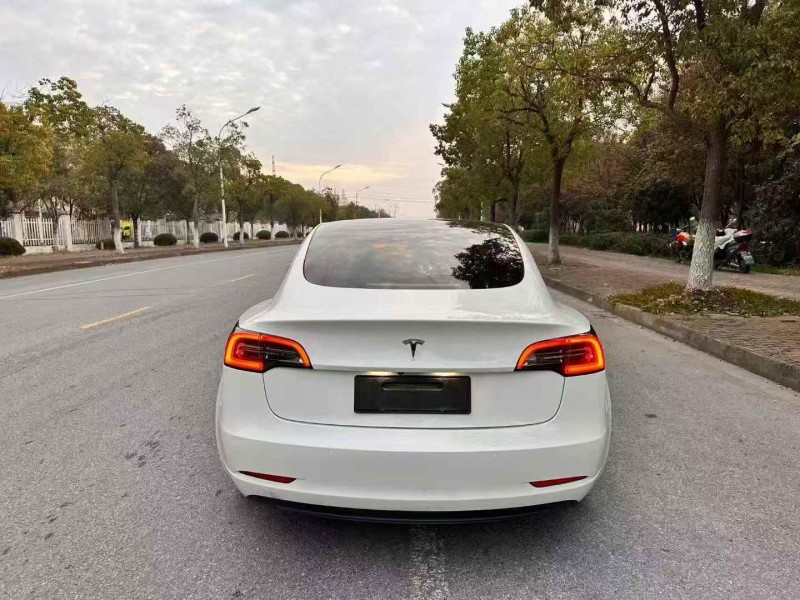 徐州19年特斯拉MODEL 37