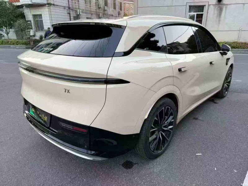 温州25年极氪汽车7X5