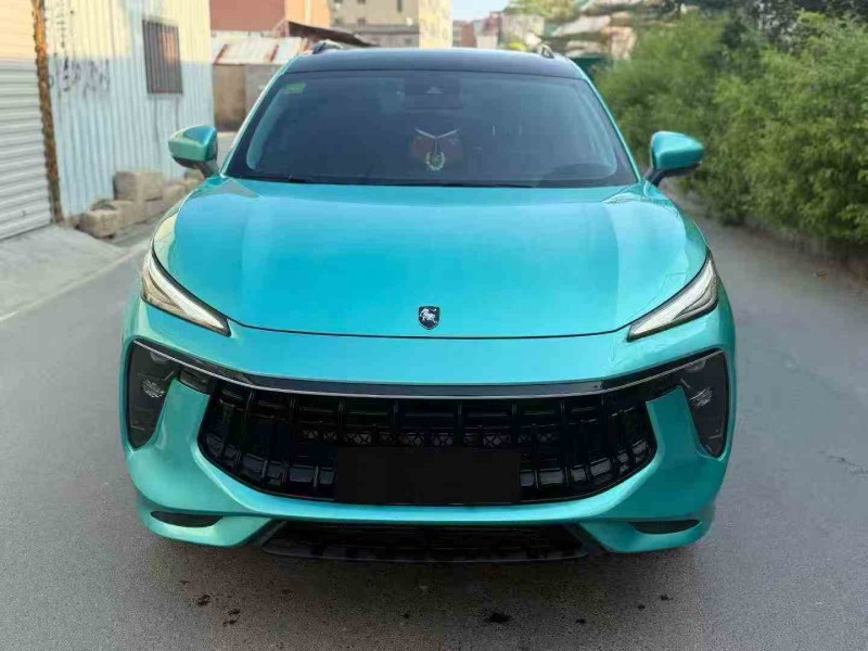 厦门21年东风风行1