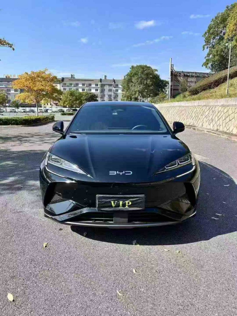 嘉兴24年比亚迪海狮1