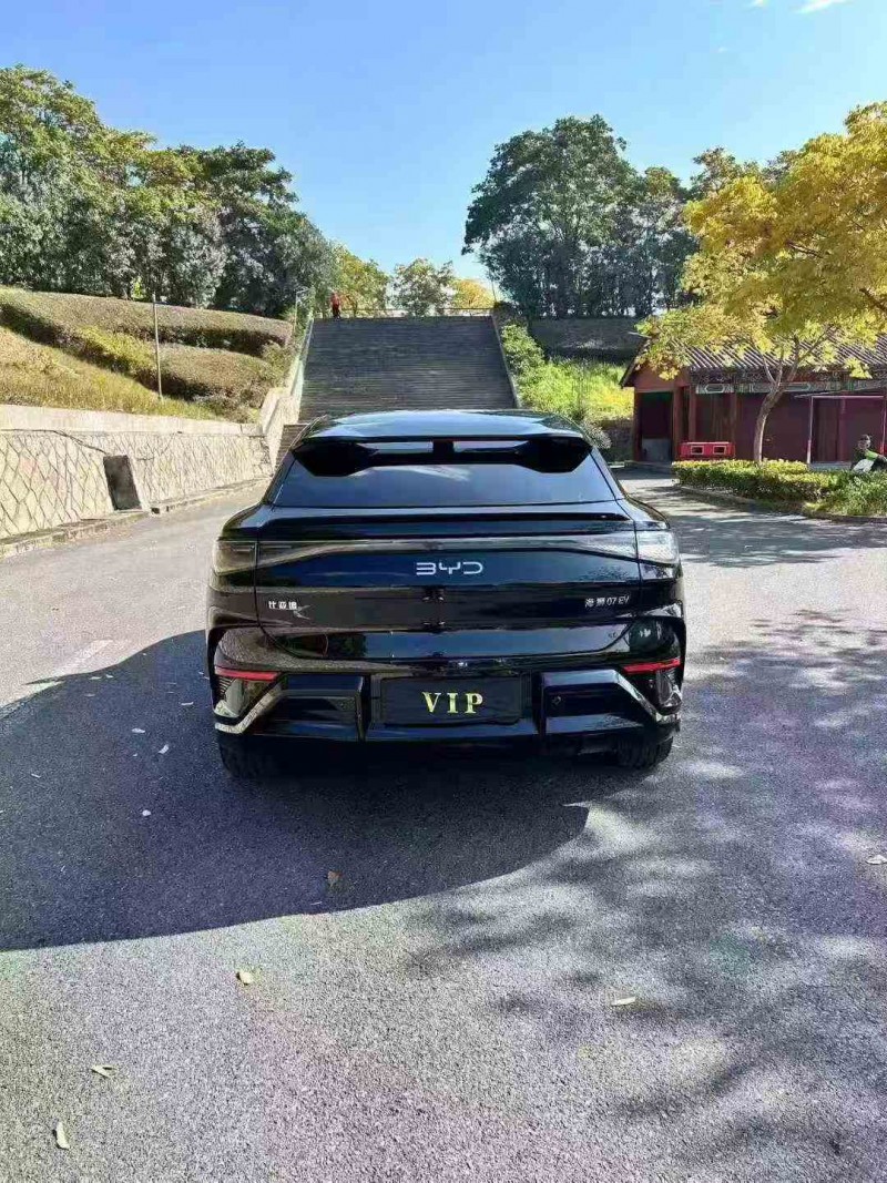 嘉兴24年比亚迪海狮9