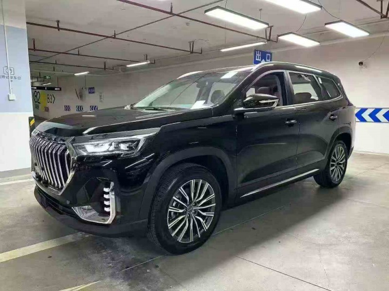 泸州25年奇瑞捷途2