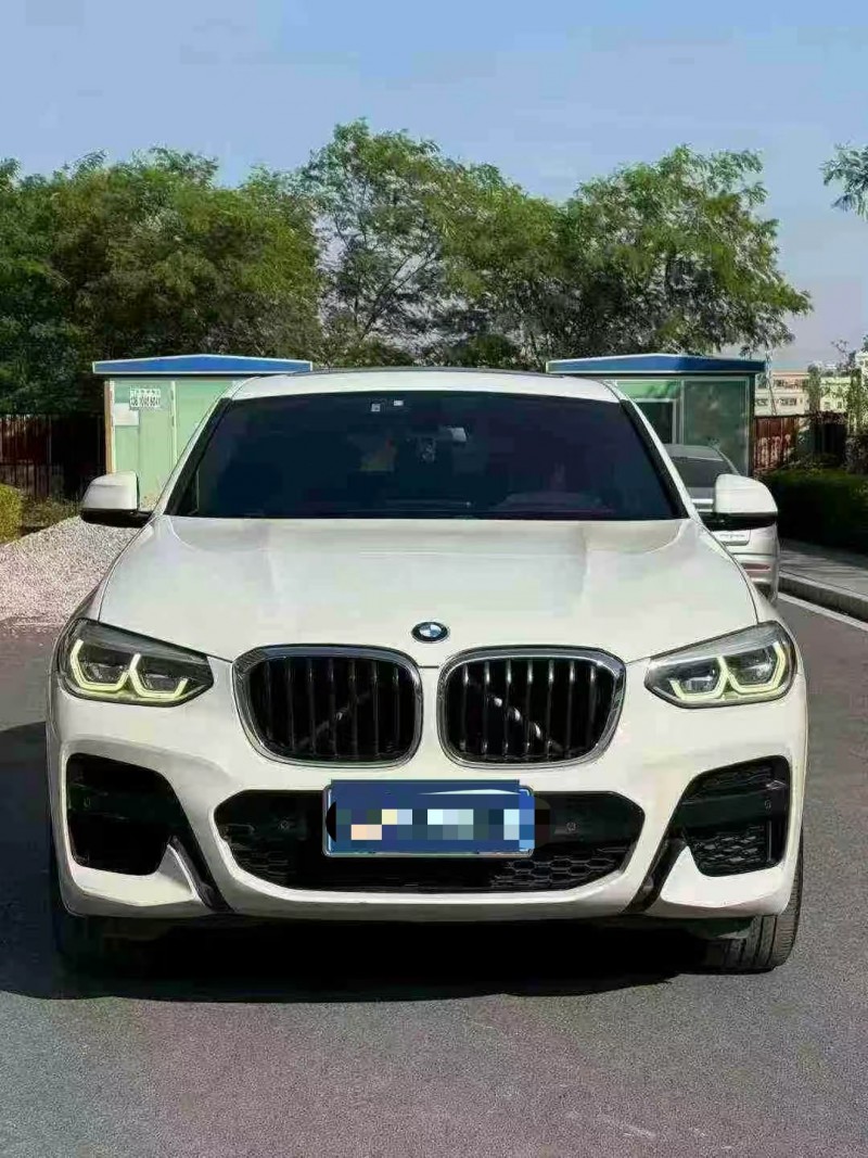 东莞19年宝马X41