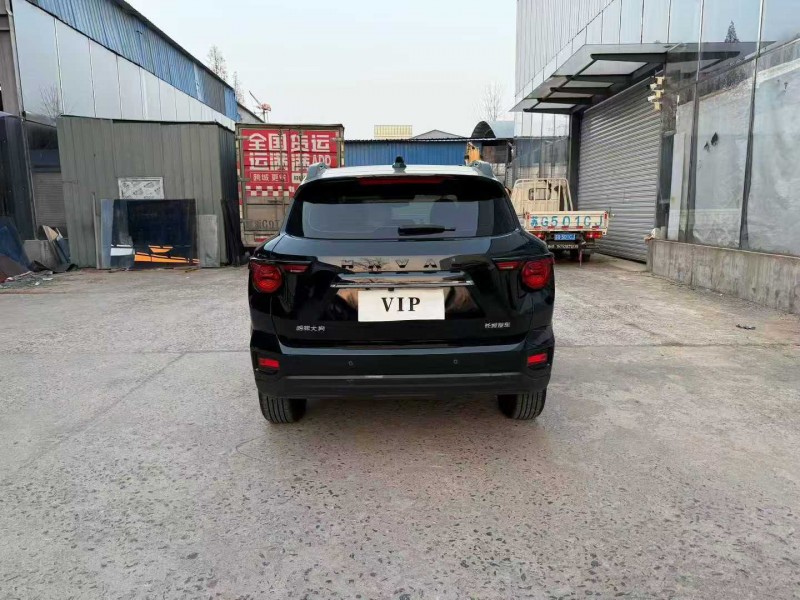 徐州24年哈弗大狗9