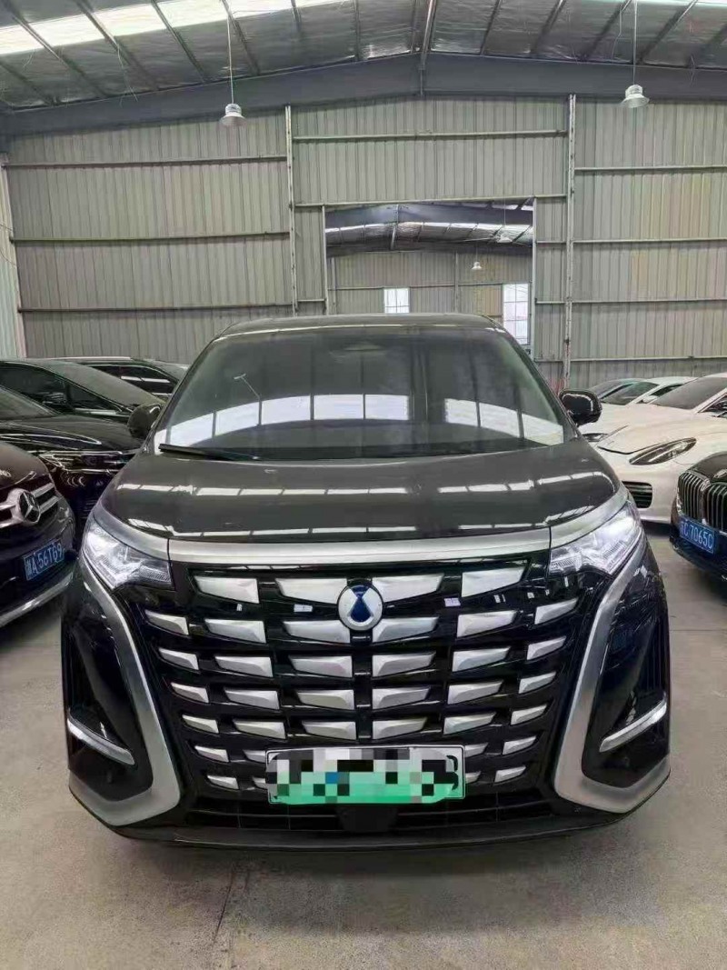 常州24年腾势D91