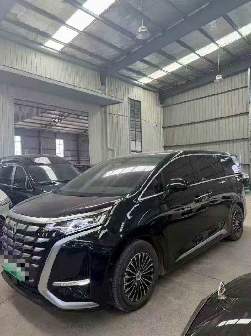 常州24年腾势D92