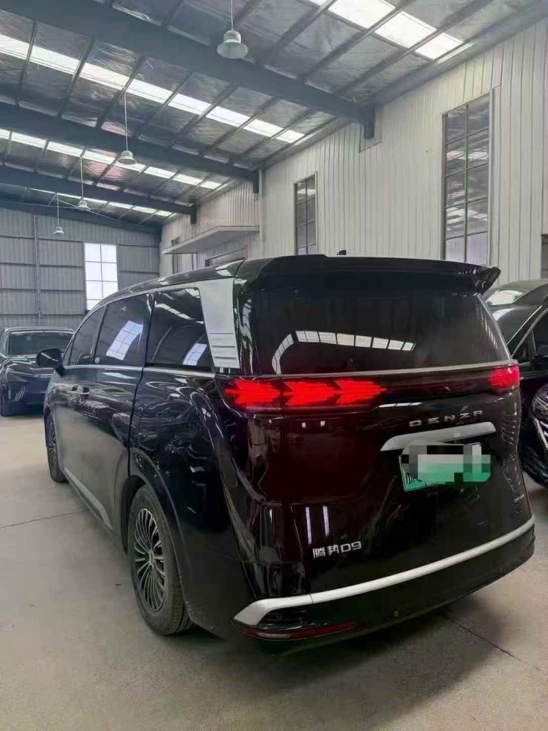 常州24年腾势D95