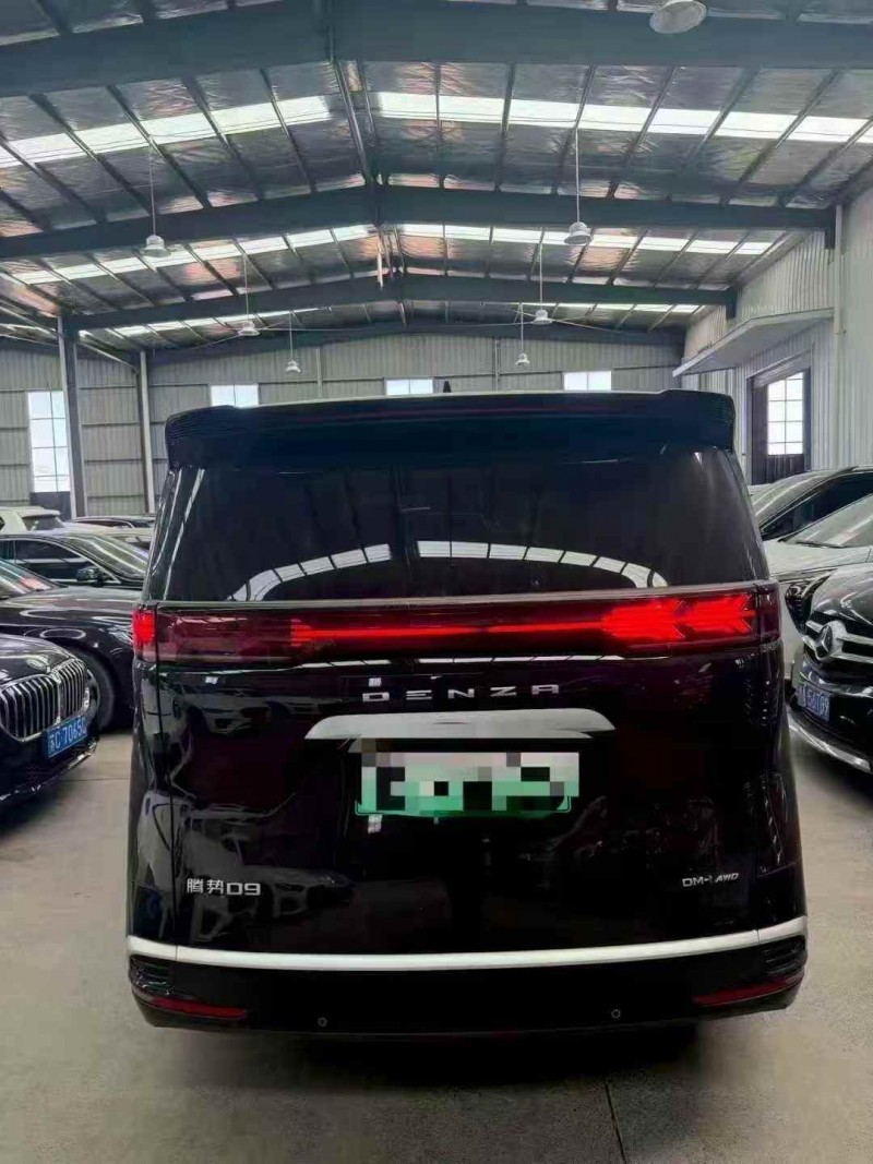 常州24年腾势D96