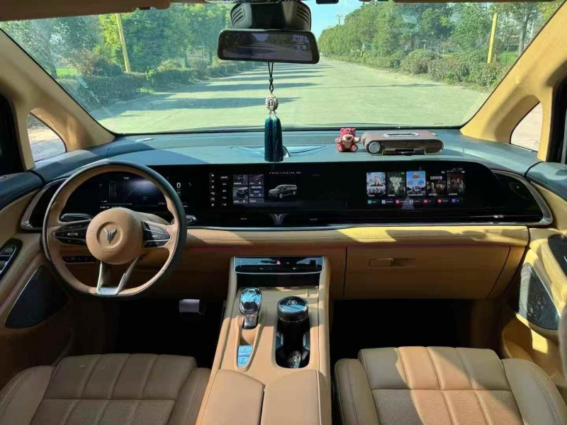 常州24年岚图汽车梦想家7