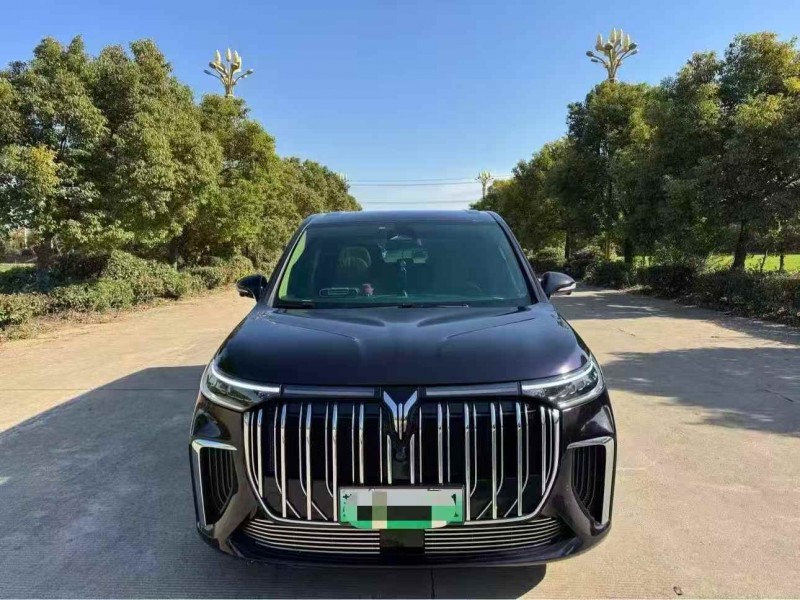 常州24年岚图汽车梦想家1