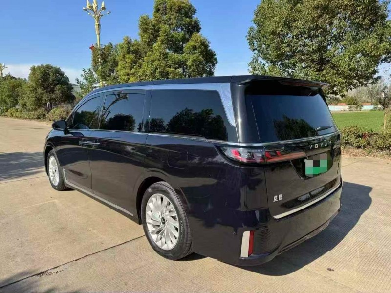 常州24年岚图汽车梦想家9