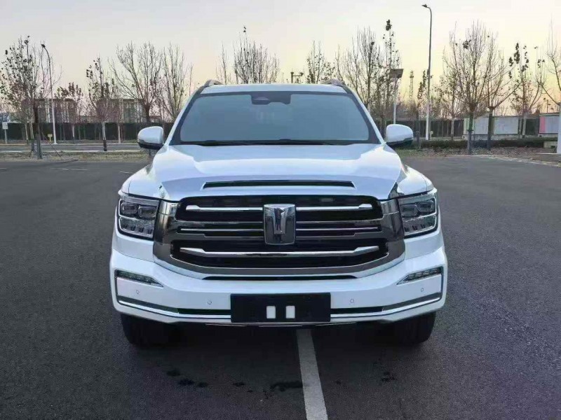 天津24年长城汽车坦克1