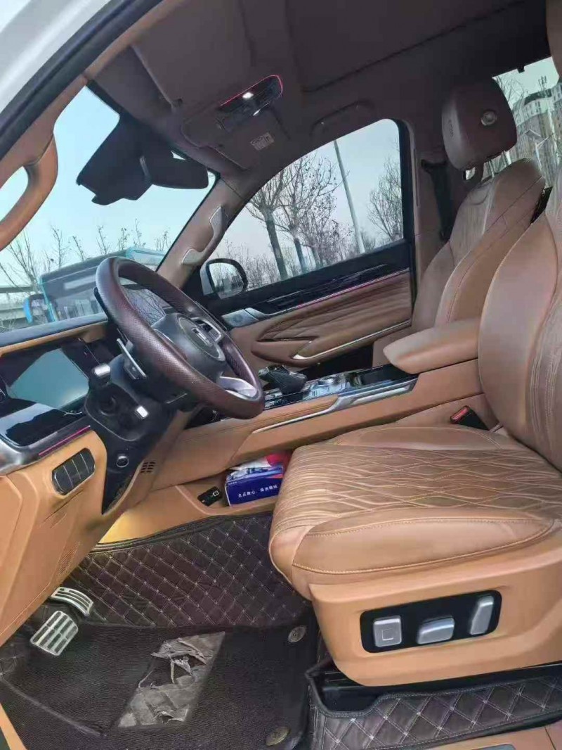 天津24年长城汽车坦克5