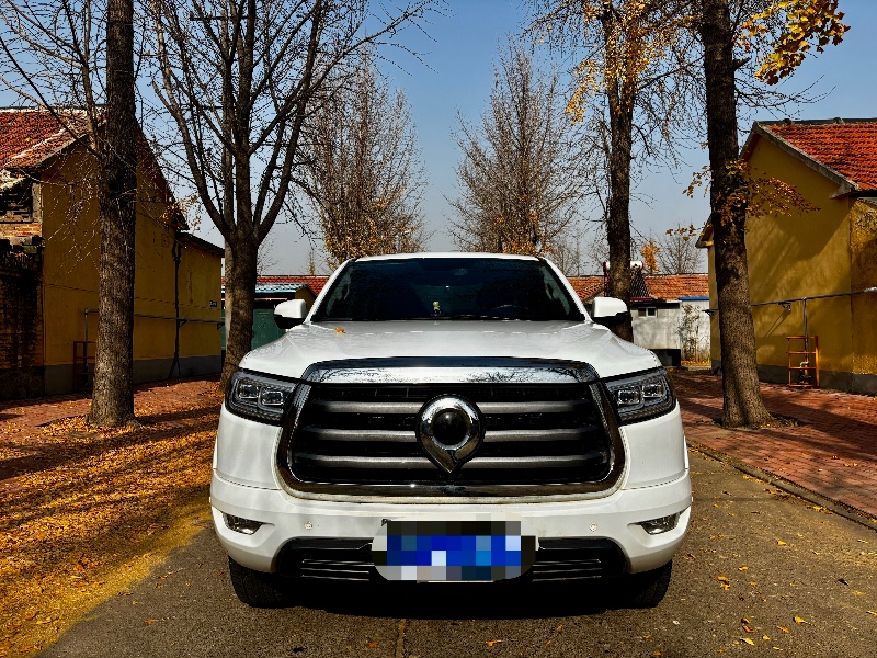 潍坊23年长城汽车炮 皮卡1