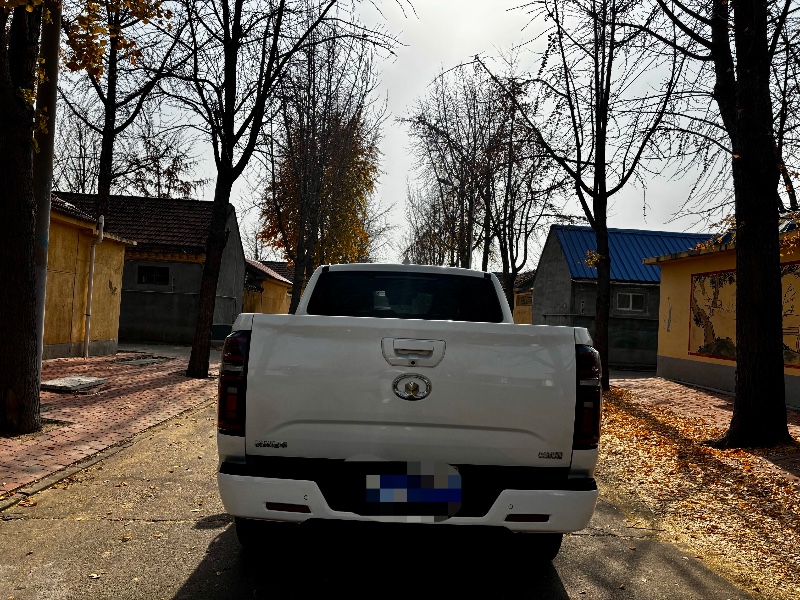 潍坊23年长城汽车炮 皮卡8