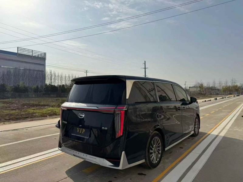 菏泽25年传祺M8/GM88