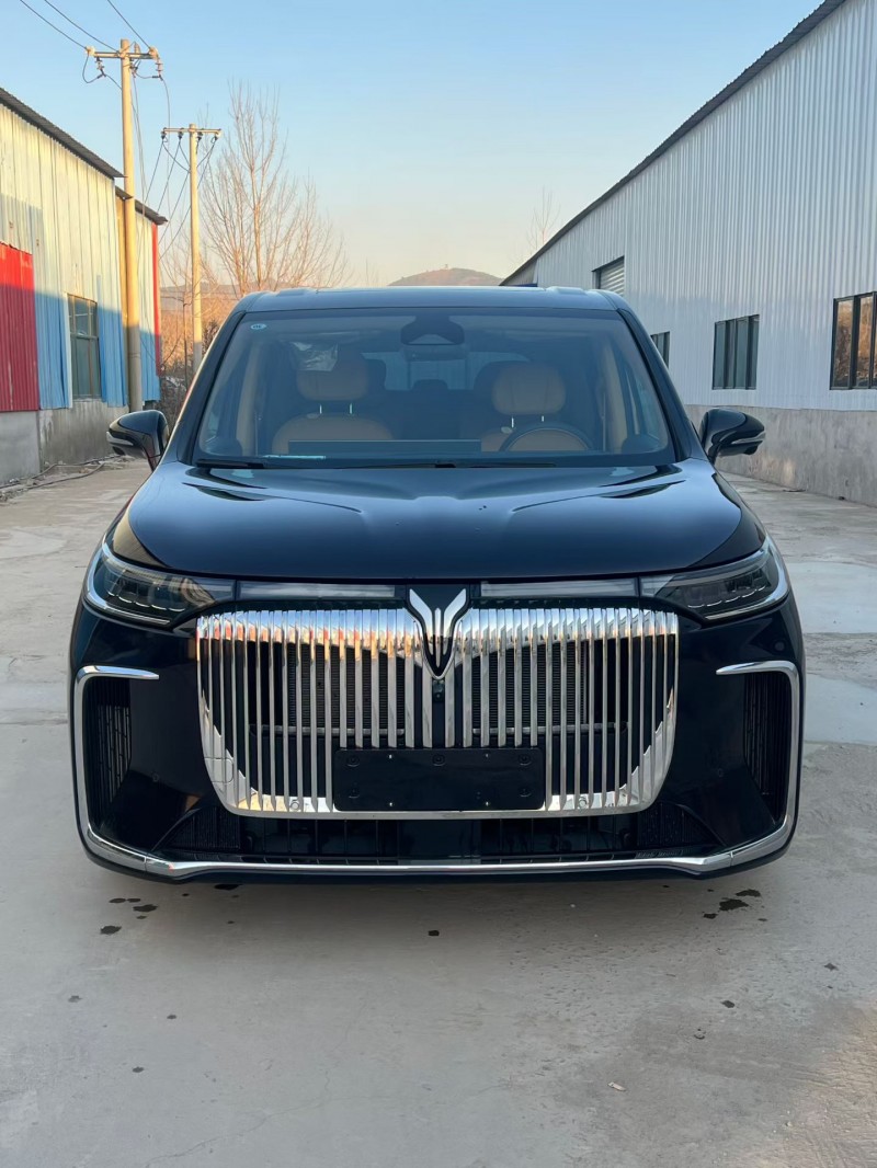 徐州25年岚图汽车梦想家1