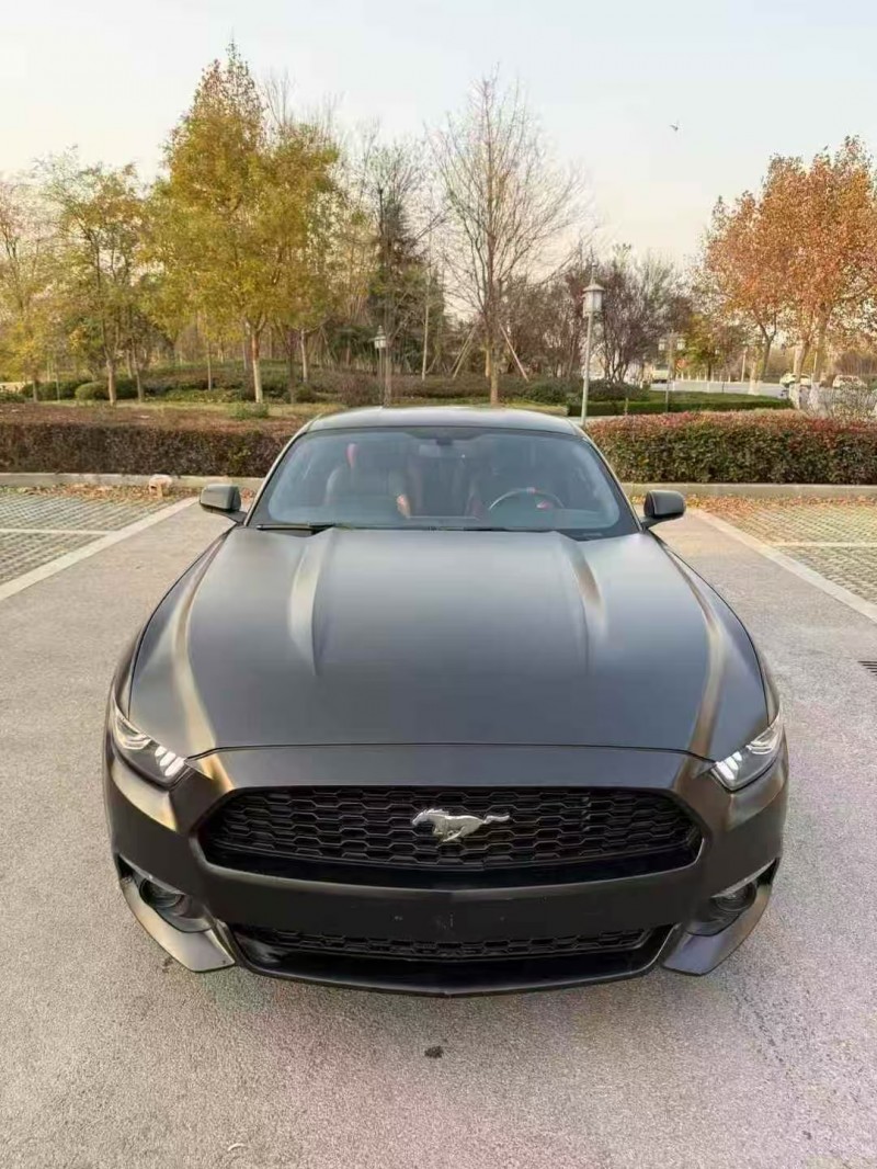 菏泽17年福特野马1