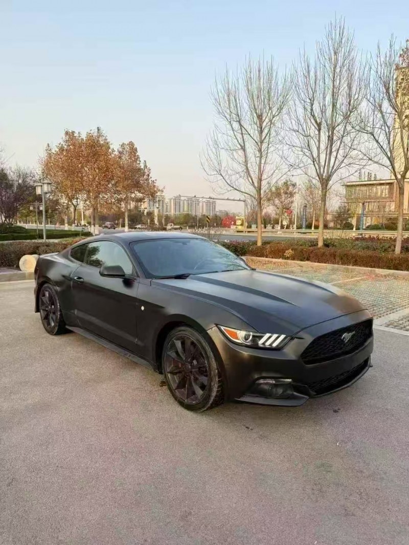 菏泽17年福特野马2