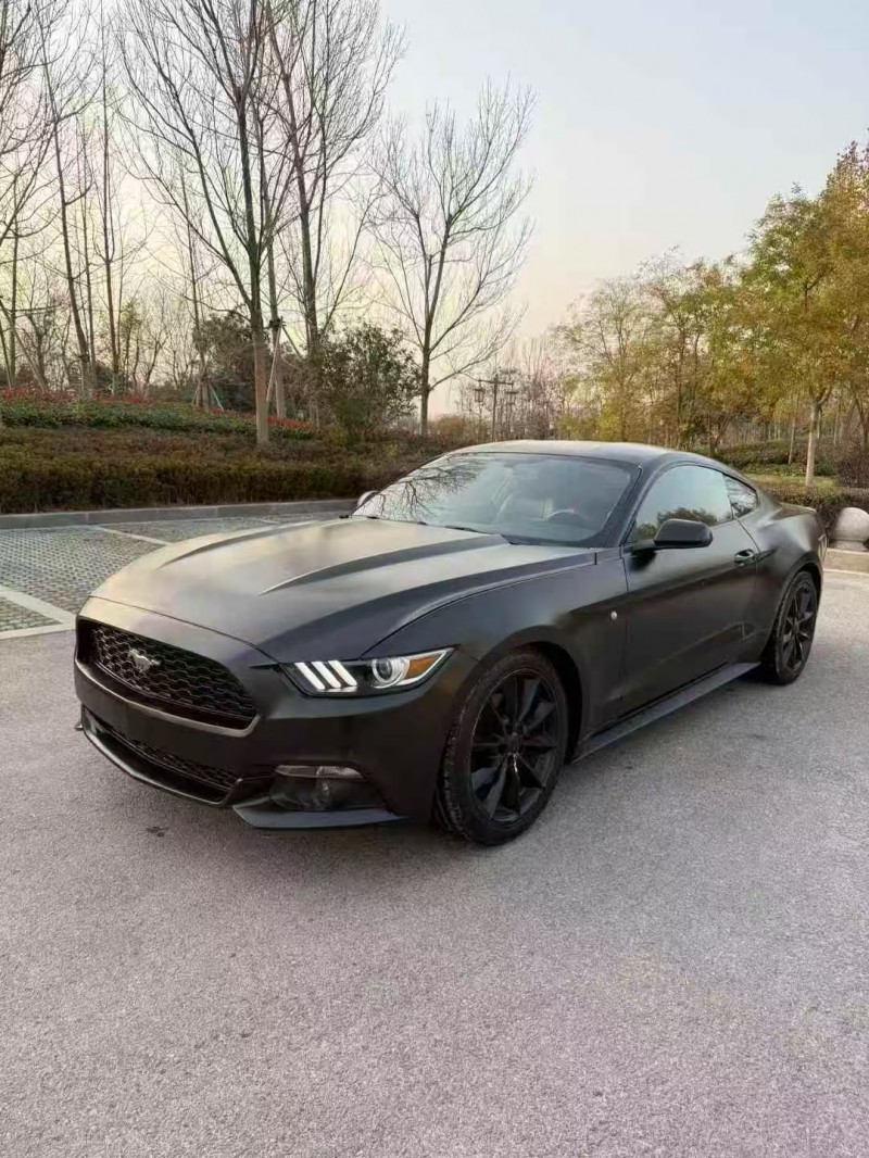 菏泽17年福特野马3