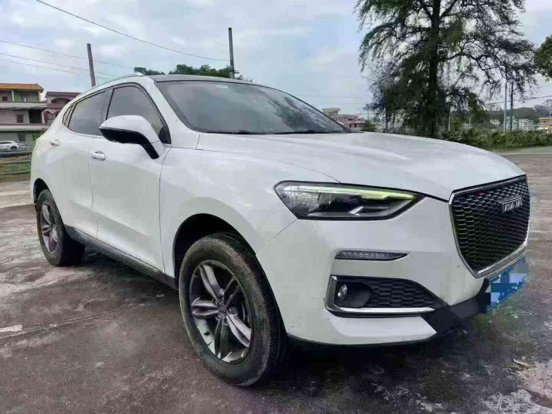 佛山19年哈弗F52