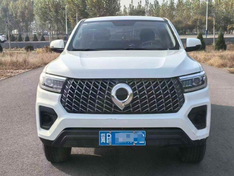 邯郸23年长城汽车炮 皮卡1