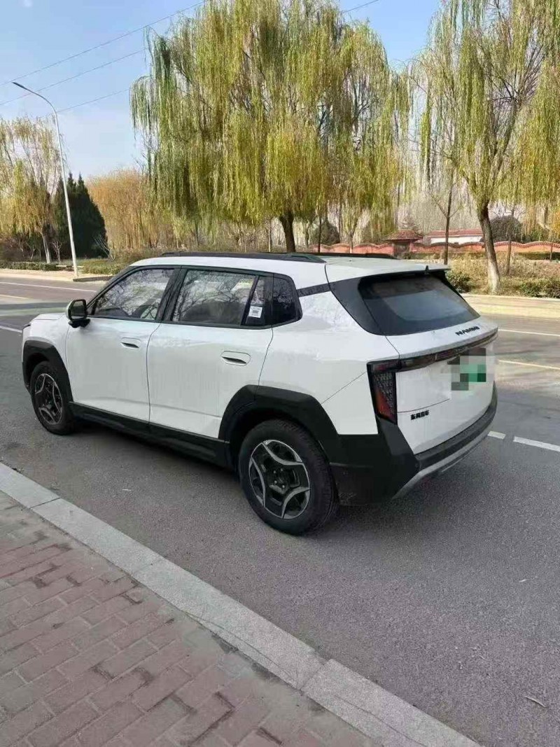 济宁25年东风纳米8