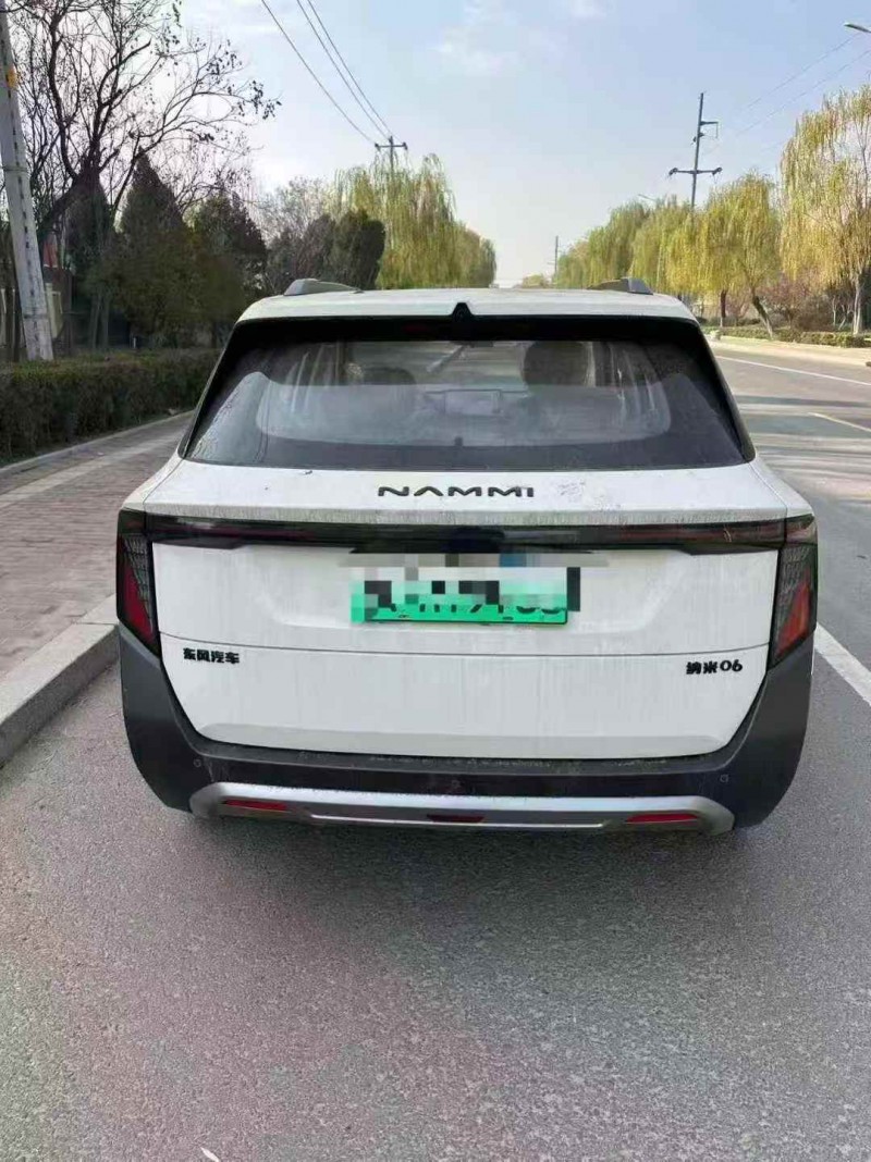 济宁25年东风纳米9