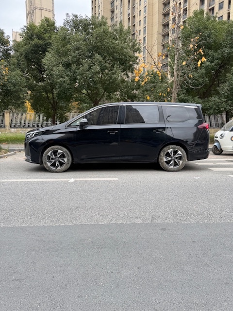 芜湖22年传祺M6/GM65