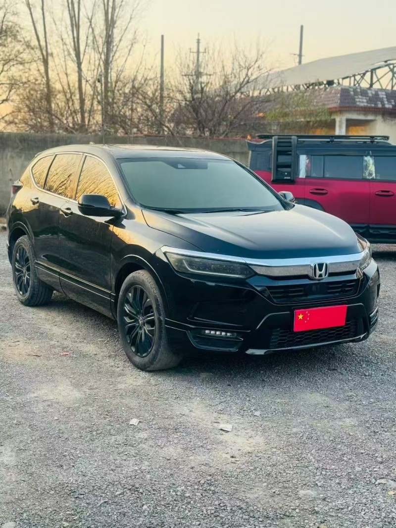 绍兴20年本田皓影2