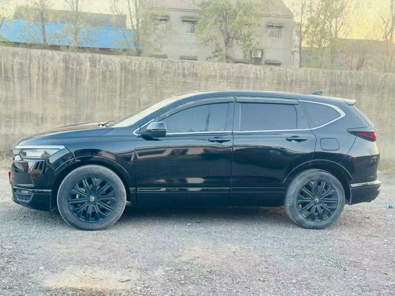 绍兴20年本田皓影5