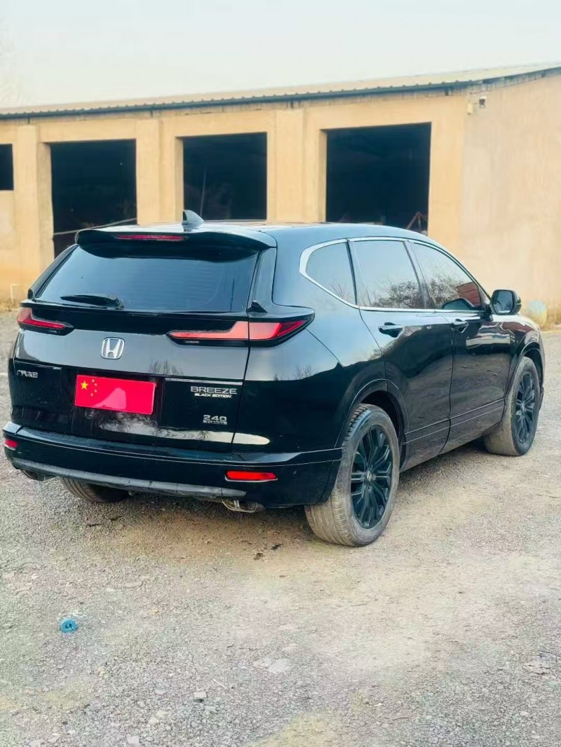 绍兴20年本田皓影7