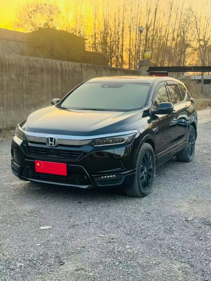 绍兴20年本田皓影8