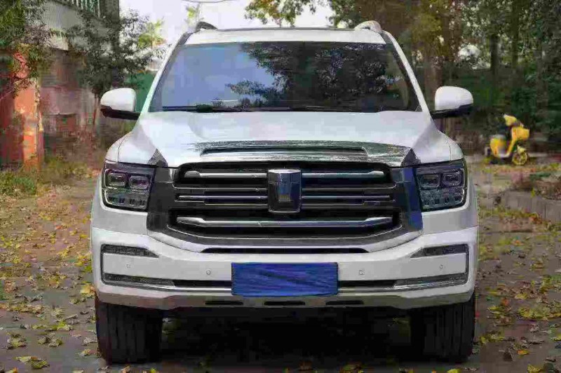 平顶山24年长城汽车坦克1