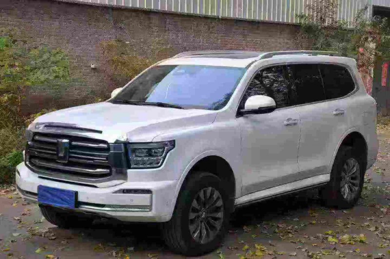 平顶山24年长城汽车坦克2