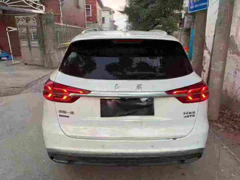 嘉兴23年红旗HS59