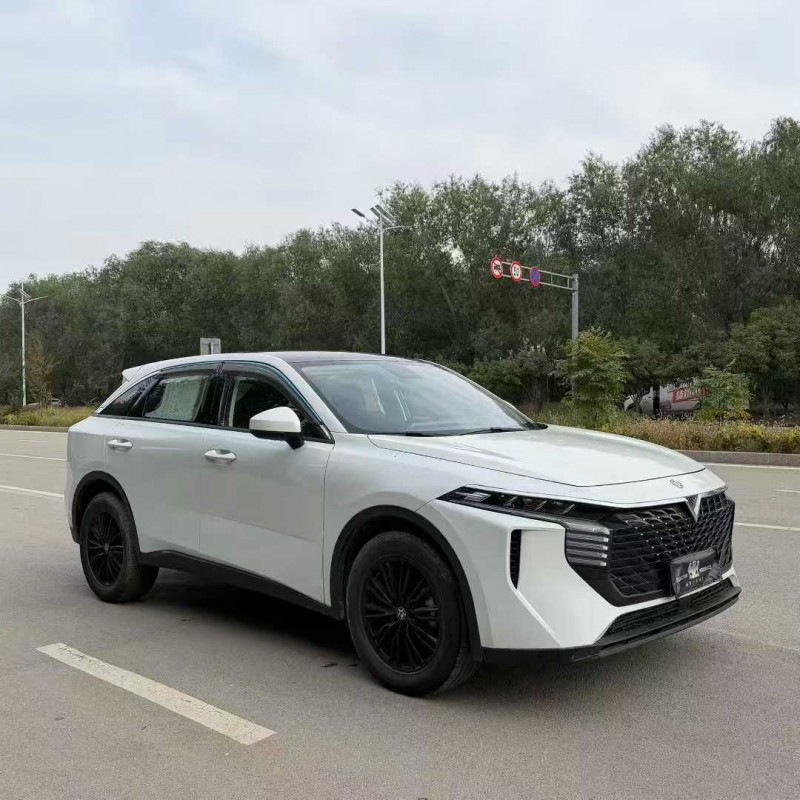 淄博23年启辰大V2