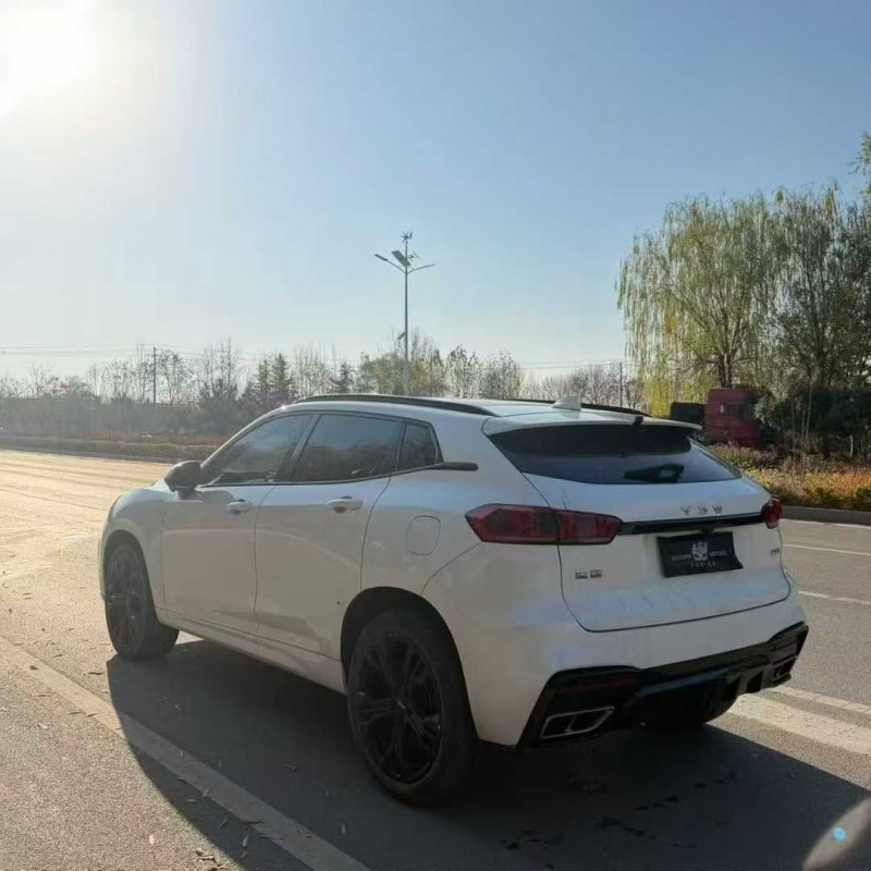 枣庄20年长城汽车魏牌9